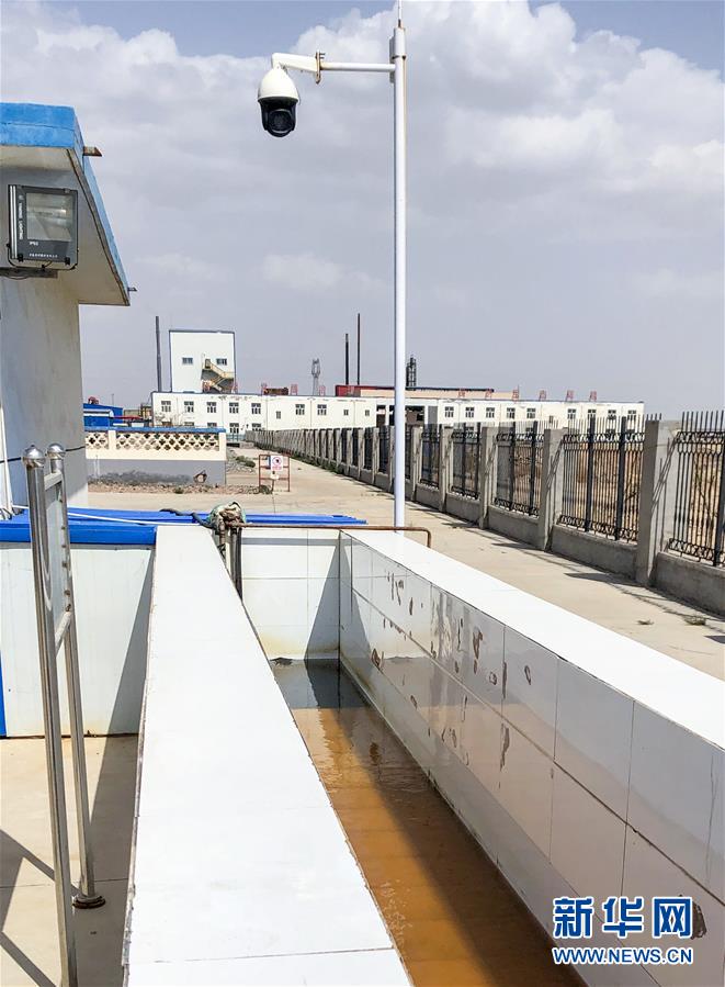 (新華全媒頭條·圖文互動)(5)綠色的啟示——西部地區生態問題典型個案再調查