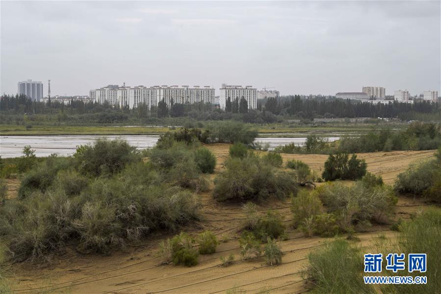 (新華全媒頭條·圖文互動)(1)大漠小城的絕地反擊