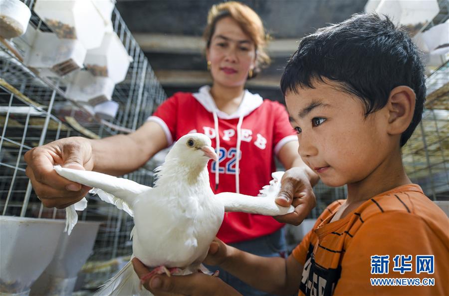 (新華全媒頭條·聚焦中國經濟成績單·圖文互動)(10)為全面建成小康社會奠定堅實基礎——從2019年數據看中國經濟發展大勢