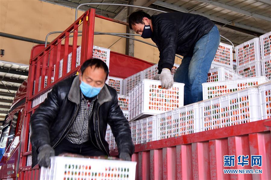 （聚焦疫情防控&middot;圖文互動(dòng)）（5）吃的東西充足，做點(diǎn)花樣菜吧！&mdash;&mdash;中部地區(qū)最大農(nóng)產(chǎn)品批發(fā)市場(chǎng)見聞 