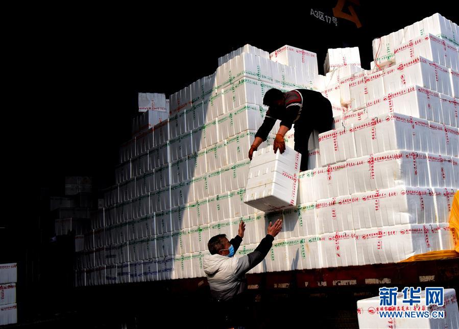 （聚焦疫情防控&middot;圖文互動(dòng)）（4）吃的東西充足，做點(diǎn)花樣菜吧！&mdash;&mdash;中部地區(qū)最大農(nóng)產(chǎn)品批發(fā)市場(chǎng)見聞 