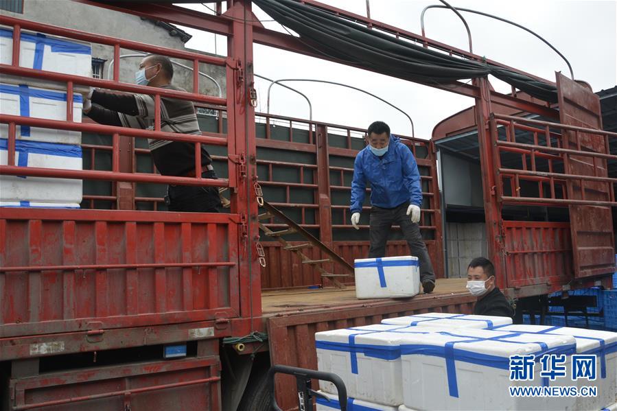 （做好六穩工作 應對復雜局面&middot;圖文互動）（3）穩住&ldquo;菜籃子&rdquo; 守住&ldquo;好日子&rdquo;