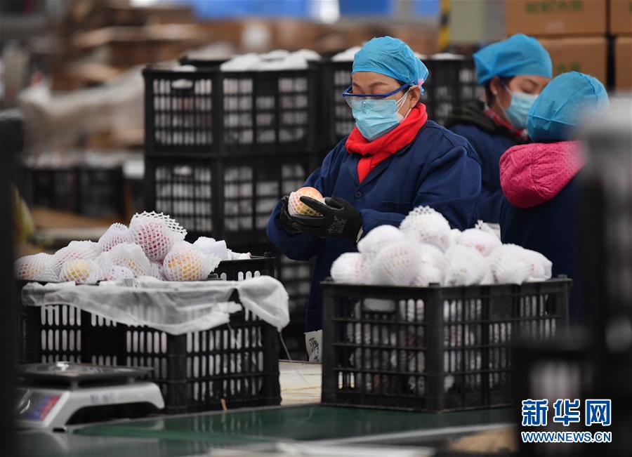 （聚焦疫情防控&middot;圖文互動）（4）&ldquo;一輛輛車出發，春暖花開的日子就不遠了&rdquo;&mdash;&mdash;西北電商大縣陜西省武功縣復工見聞