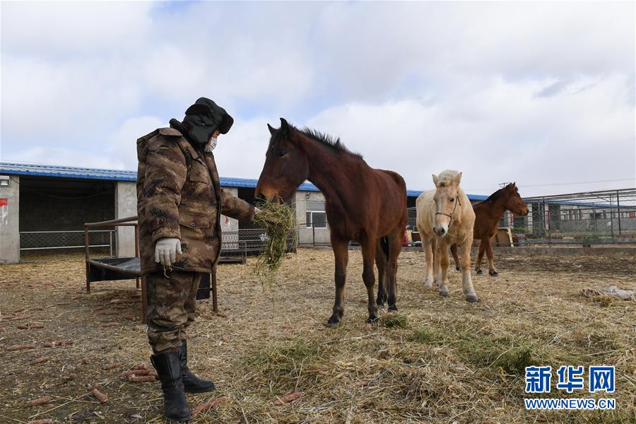 （聚焦疫情防控&middot;圖文互動）（1）行進在鄉間的馬背巡邏隊