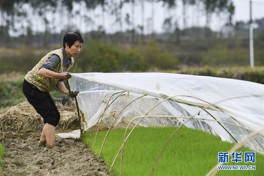 （圖文互動）（2）&ldquo;早一天復工，損失就少一點&rdquo;&mdash;&mdash;廣西以精準防控推動復工復產一線見聞