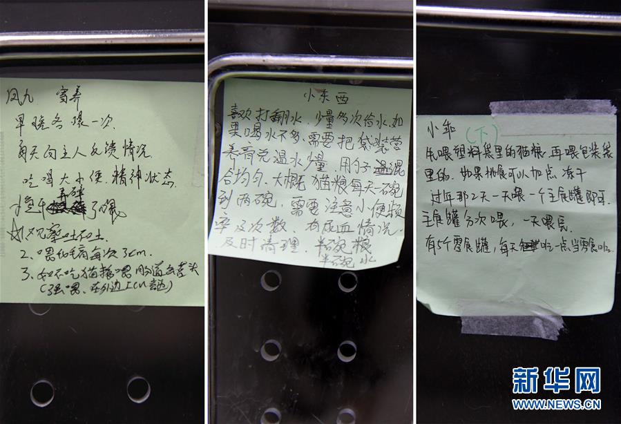 （聚焦疫情防控）（4）武漢：動物醫院里的臨時&ldquo;奶爸&rdquo;