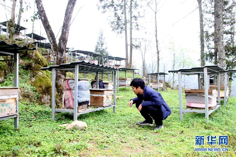 （決戰決勝脫貧攻堅&middot;圖文互動）（3）寄相思，償夙愿&mdash;&mdash;5封清明&ldquo;家書&rdquo;里的決戰決勝信念