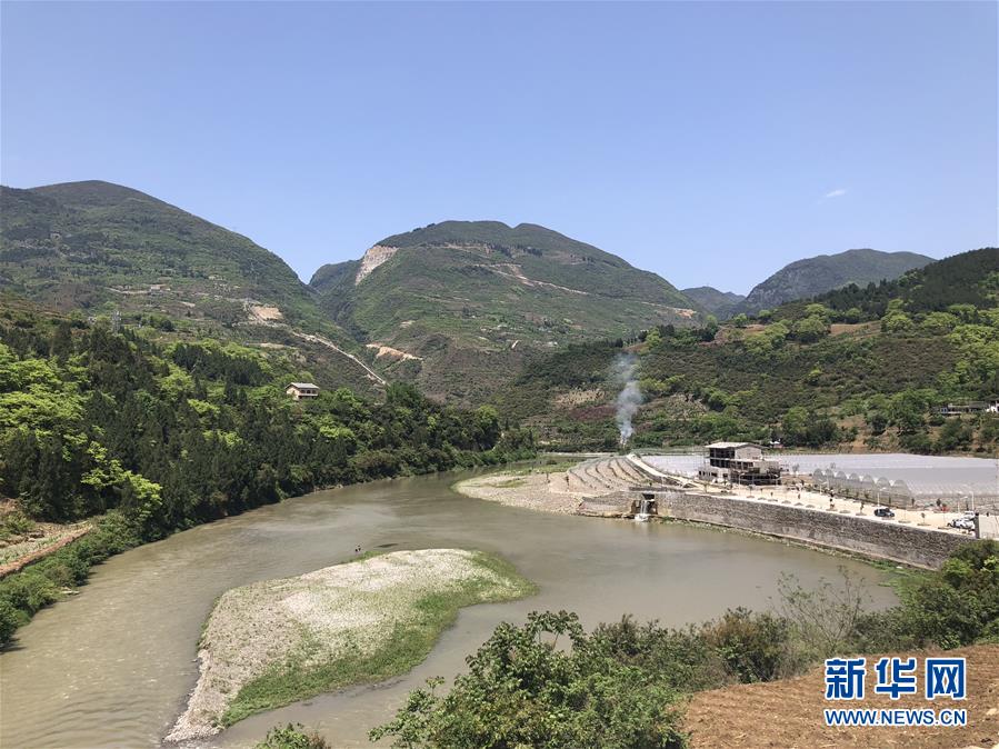 （決戰決勝脫貧攻堅&middot;圖文互動）（1）野奶角又見春天