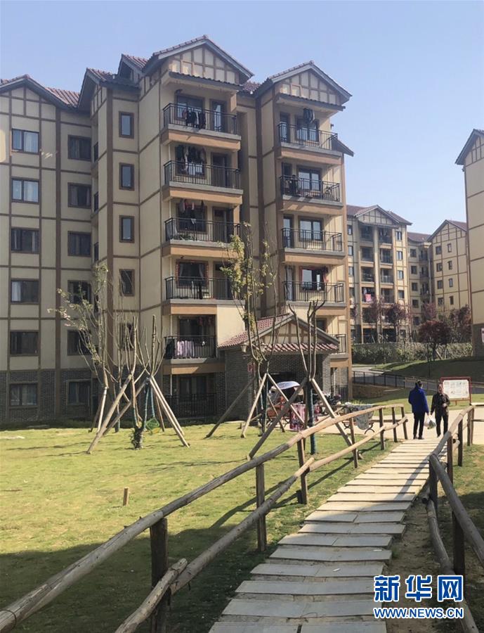 （圖文互動）（2）柏楊林的&ldquo;樣板間&rdquo;