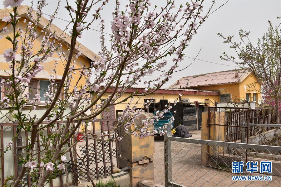 (圖文互動)(1)“桃花源”里話豐年 ——帕米爾山區(qū)一處扶貧搬遷點(diǎn)見聞