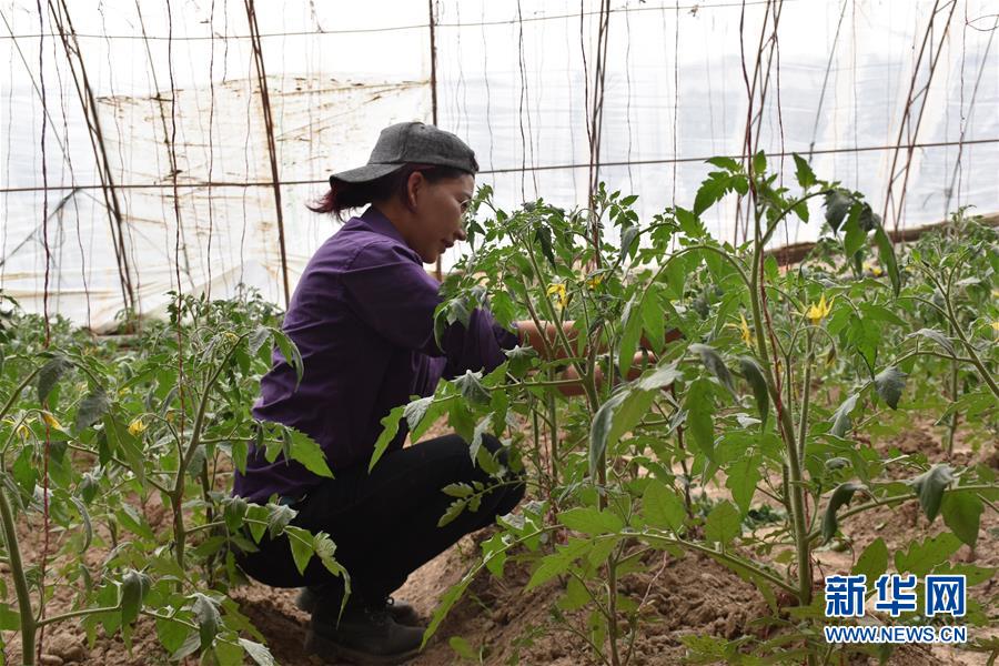(圖文互動)(2)“桃花源”里話豐年 ——帕米爾山區(qū)一處扶貧搬遷點(diǎn)見聞