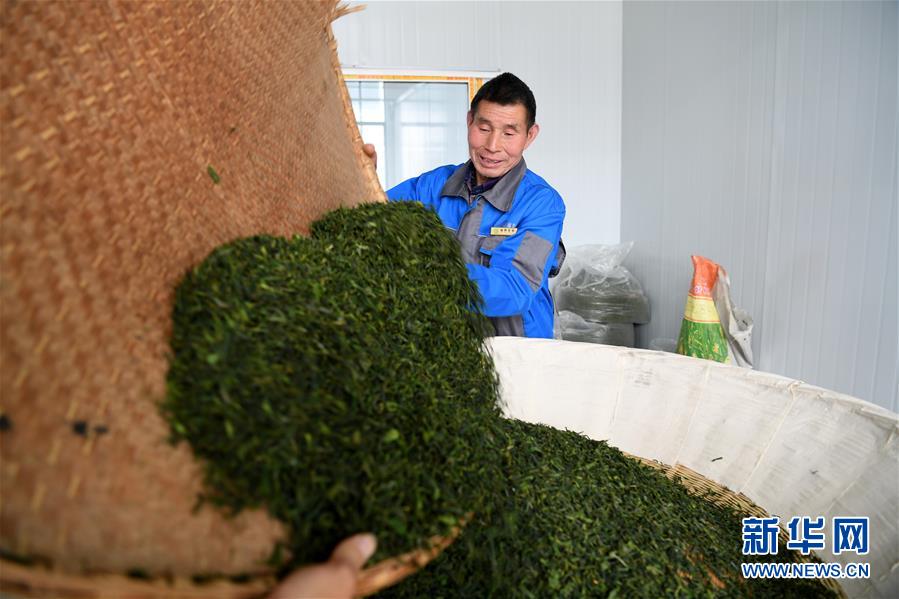 （新華全媒頭條&middot;圖文互動）（5）紅土地上的&ldquo;綠色減貧&rdquo;決戰&mdash;&mdash;大別山&ldquo;將軍縣&rdquo;金寨脫貧紀實