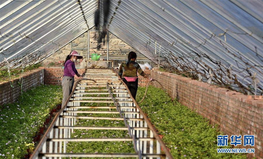 （圖文互動）（2）這座小城，鐫刻下怎樣的&ldquo;世園印記&rdquo;&mdash;&mdash;北京世園會開園一周年探訪延慶