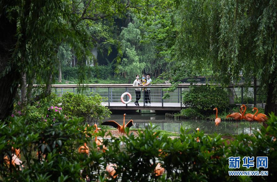 （在習近平新時代中國特色社會主義思想指引下&mdash;&mdash;新時代新作為新篇章&middot;習近平總書記關切事&middot;圖文互動）（8）疫情防控不減壓　復工復產正加速&mdash;&mdash;武漢&ldquo;解封&rdquo;滿月觀察