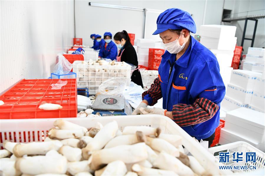 （決戰決勝脫貧攻堅&middot;圖文互動）（2）補短板 促就業 穩增收&mdash;&mdash;貴州向脫貧&ldquo;硬骨頭&rdquo;發起總攻