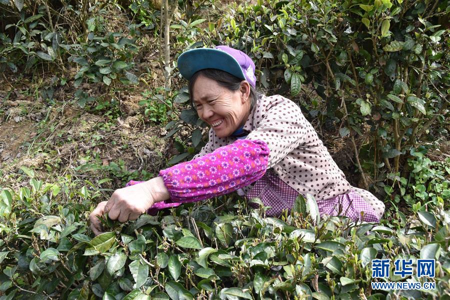 （圖片互動）（1）再訪貴州極貧鄉鎮看&ldquo;四變&rdquo;