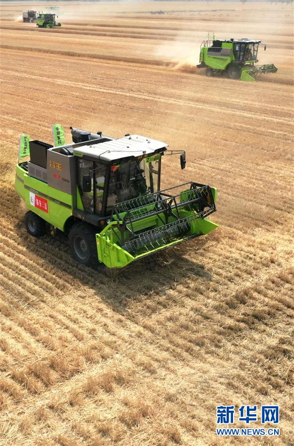 （在習(xí)近平新時(shí)代中國(guó)特色社會(huì)主義思想指引下&mdash;&mdash;新時(shí)代新作為新篇章&middot;習(xí)近平總書記關(guān)切事&middot;圖文互動(dòng)）（13）讓農(nóng)民挑上&ldquo;金扁擔(dān)&rdquo;&mdash;&mdash;農(nóng)業(yè)現(xiàn)代化的生動(dòng)實(shí)踐掃描