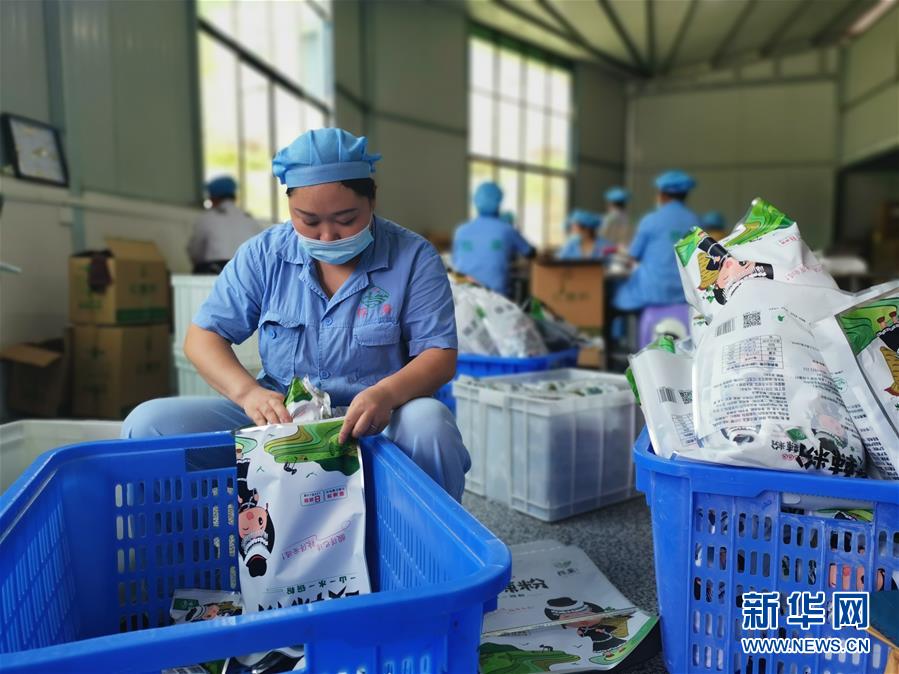 （決戰決勝脫貧攻堅&middot;圖文互動）（2）貴州思南：發展&ldquo;紅薯經濟&rdquo;助脫貧