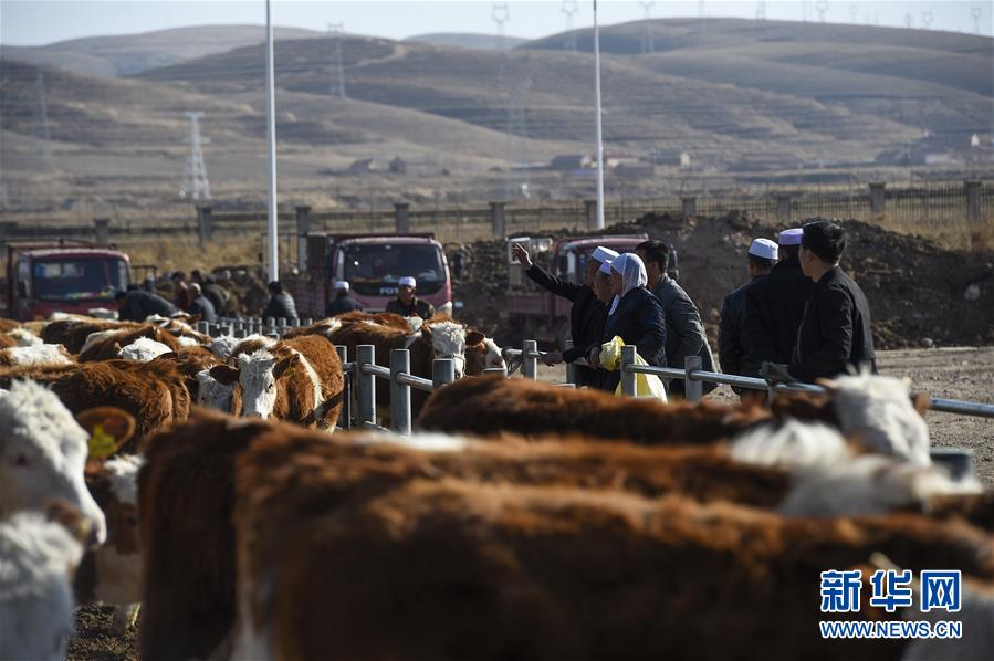 （在習近平新時代中國特色社會主義思想指引下&mdash;&mdash;新時代新作為新篇章&middot;習近平總書記關切事&middot;圖文互動）（2）六盤山下的誓言&mdash;&mdash;來自寧夏的脫貧故事