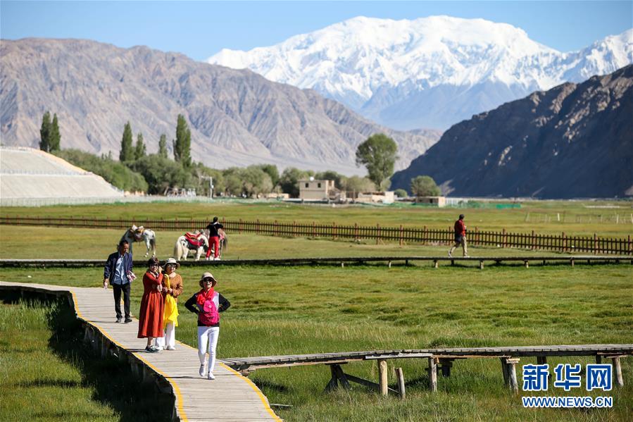 （新華全媒頭條&middot;圖文互動(dòng)）（15）飛吧，&ldquo;帕米爾雄鷹&rdquo;！