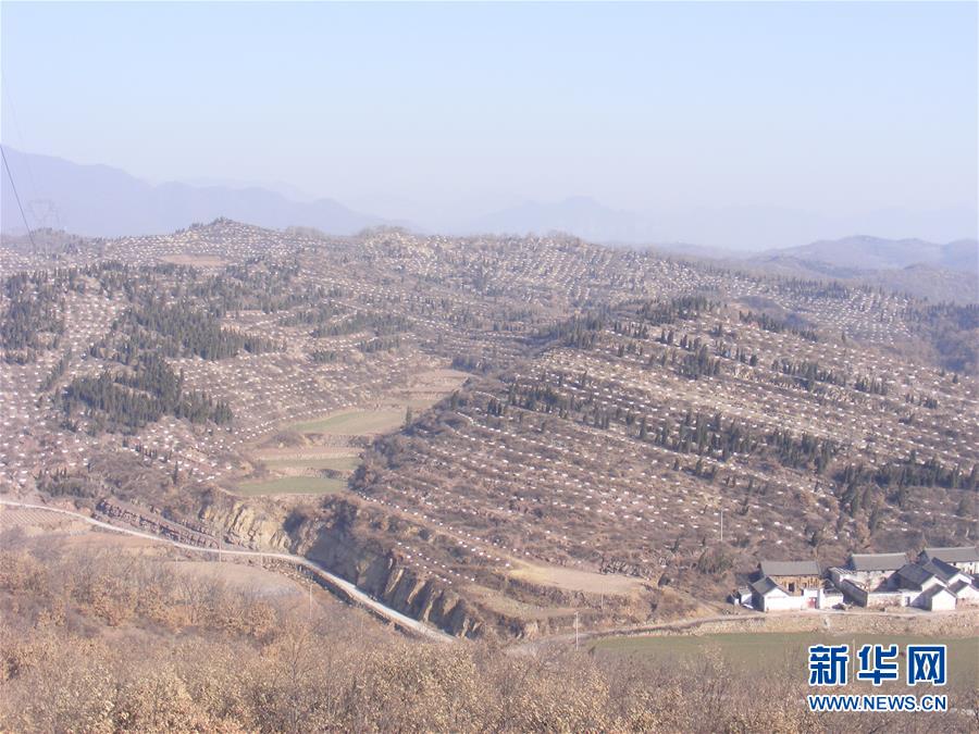 （決戰決勝脫貧攻堅&middot;圖文互動）（2）&ldquo;愚公&rdquo;治山