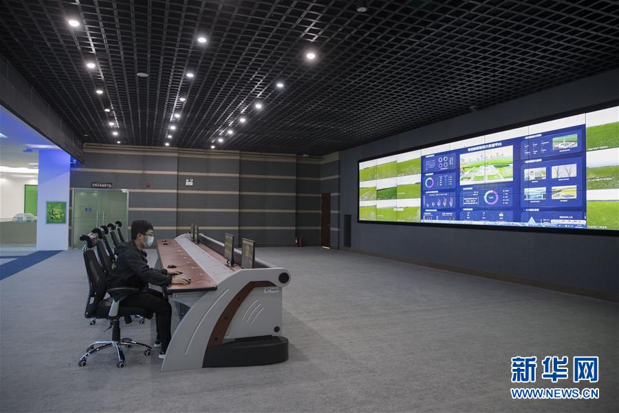 （走向我們的小康生活&middot;圖文互動）（8）端牢&ldquo;中國飯碗&rdquo; 播種綠色小康