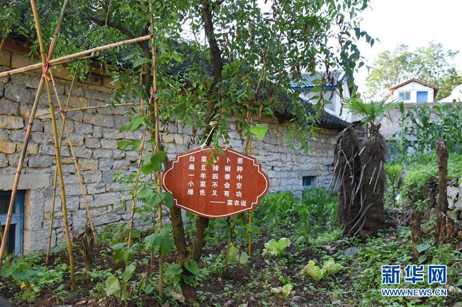 (鄉村振興·圖文互動)(6)海壩成“畫”