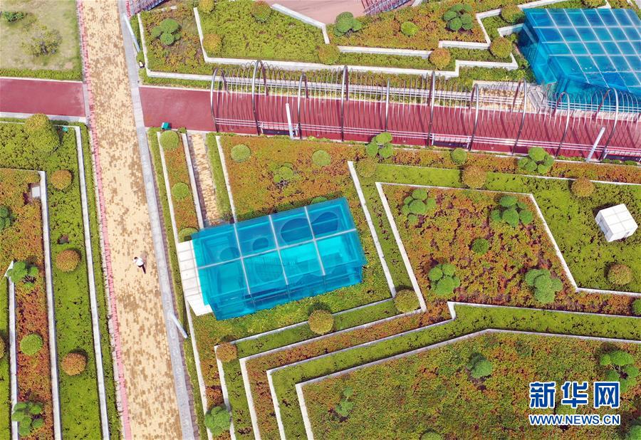 （走向我們的小康生活&middot;圖文互動）（2）15分鐘&ldquo;圈&rdquo;出美好生活