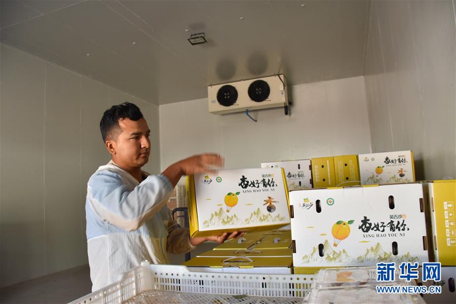 （決戰(zhàn)決勝脫貧攻堅&middot;圖文互動）（6）新疆&ldquo;杏鄉(xiāng)&rdquo;：杏果飄香 走出深閨助脫貧