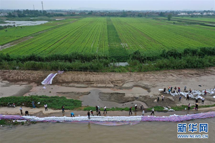 （新華全媒頭條&middot;圖文互動）（2）鏖戰江新洲