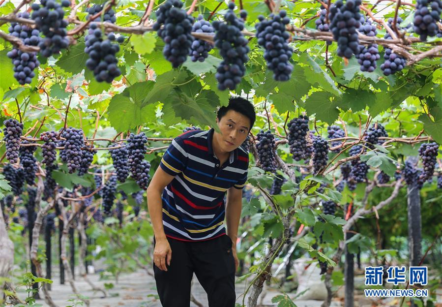 (新華全媒頭條·走向我們的小康生活·圖文互動)(9)奮斗繪就“新天府”——川蜀大地干群“戰貧”軌跡掃描