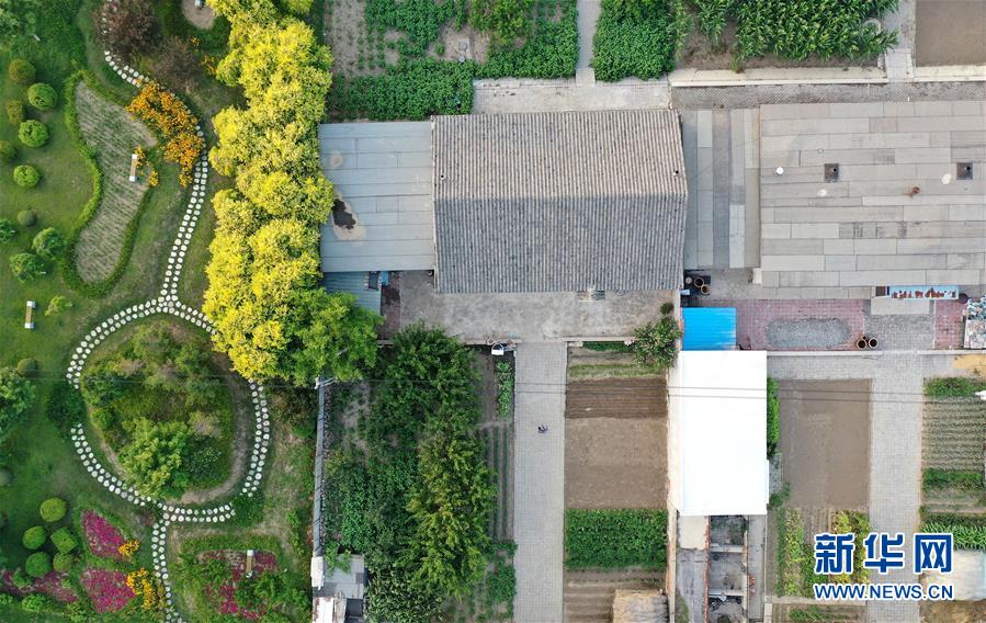 (新華全媒頭條·走向我們的小康生活·圖文互動(dòng))(1)“南大荒”變“稻蟹鄉(xiāng)”——資源枯竭型城市盤(pán)錦的鄉(xiāng)村振興之路