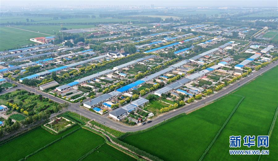 (新華全媒頭條·走向我們的小康生活·圖文互動(dòng))(4)“南大荒”變“稻蟹鄉(xiāng)”——資源枯竭型城市盤(pán)錦的鄉(xiāng)村振興之路