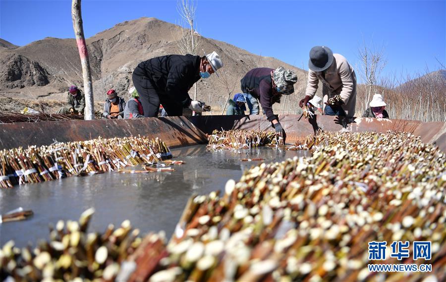 （圖文互動）（1）&ldquo;最美第三極&rdquo;：筑起生態文明高地