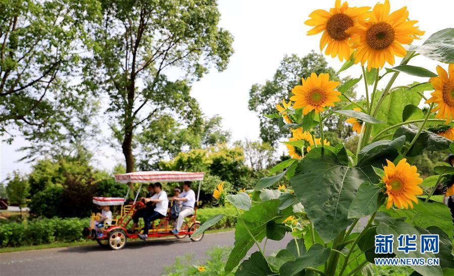 （新華全媒頭條&middot;走向我們的小康生活&middot;圖文互動(dòng)）（13）城市，讓人民生活更美好