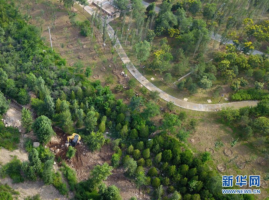 （新華全媒頭條&middot;圖文互動）（15）扎實推進籌辦，不負青春韶華&mdash;&mdash;北京冬奧會籌辦備戰(zhàn)克服疫情影響平穩(wěn)推進