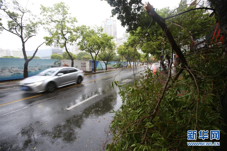 #（環境）（10）臺風&ldquo;米克拉&rdquo;登陸福建