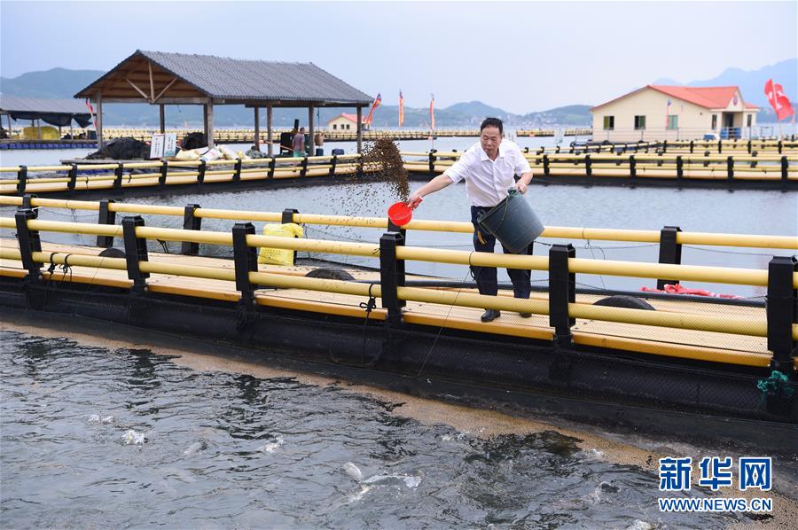 （新華全媒頭條&middot;走向我們的小康生活&middot;圖文互動）（9）弱鳥先飛今翱翔&mdash;&mdash;閩東寧德振興啟示錄