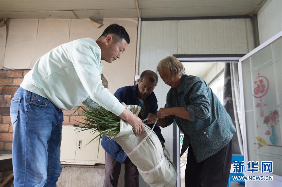 （決戰決勝脫貧攻堅&middot;圖文互動）（5）老張的菜園