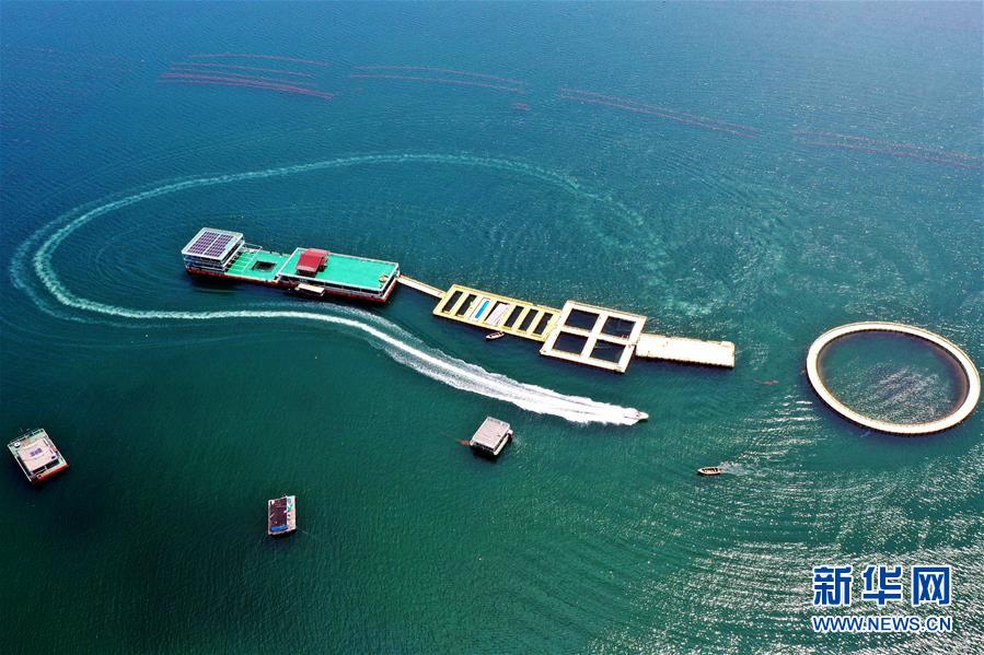 （圖文互動）（2）把&ldquo;試驗田&rdquo;種成&ldquo;高產田&rdquo;&mdash;&mdash;記中國（山東）自由貿易試驗區設立一周年