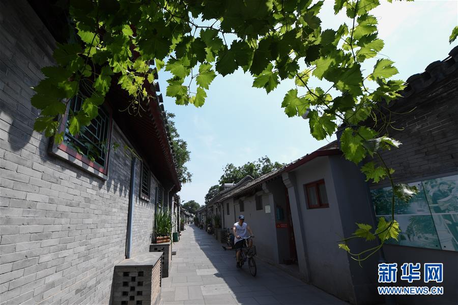 （走向我們的小康生活&middot;圖文互動）（1）小橋、流水、書香、人家&mdash;&mdash;老北京胡同里的恬靜棲居
