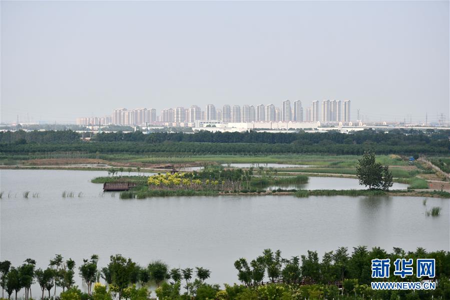 （新華全媒頭條&middot;走向我們的小康生活&middot;圖文互動）（2）沽水流霞正美好&mdash;&mdash;天津&ldquo;工筆&rdquo;繪就&ldquo;小康圖&rdquo;