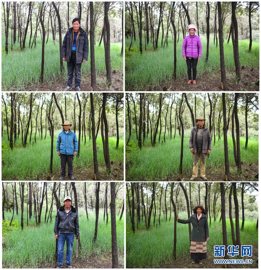 （新華全媒頭條&middot;圖文互動）（7）莊重的承諾　歷史的奇跡&mdash;&mdash;西藏自治區決戰脫貧攻堅紀實 