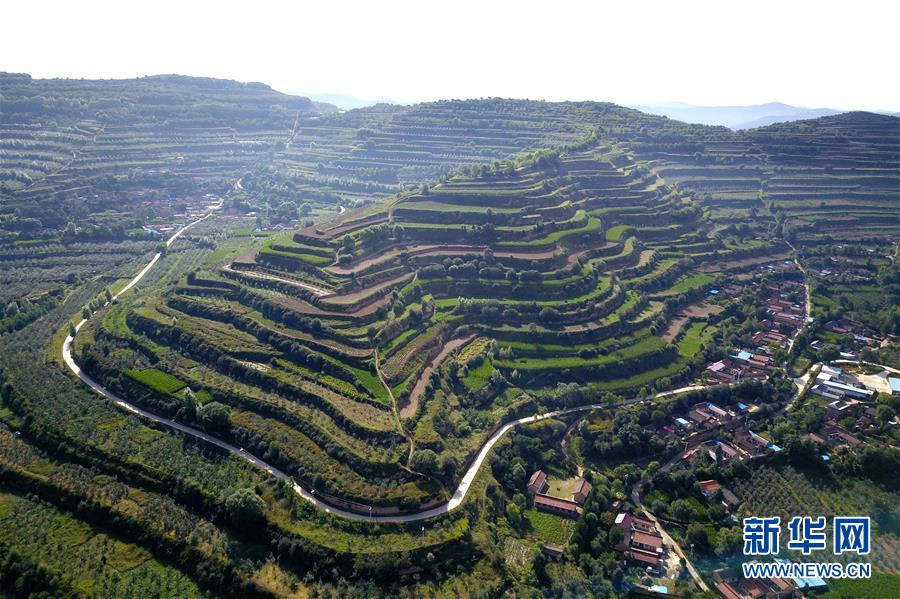  （走向我們的小康生活&middot;圖文互動(dòng)）（1）在那碧綠的階梯上&mdash;&mdash;&ldquo;梯田之鄉(xiāng)&rdquo;甘肅莊浪縣的&ldquo;三級(jí)跳&rdquo;