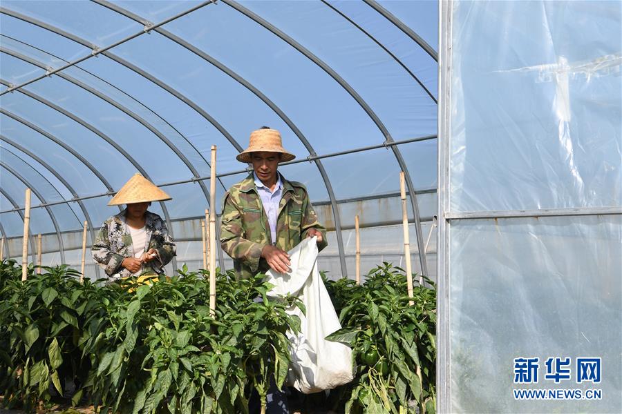 （走向我們的小康生活&middot;圖文互動）（1）&ldquo;荒涼&rdquo;土地掘金記&mdash;&mdash;甘肅旱作農業發展&ldquo;變奏曲&rdquo;