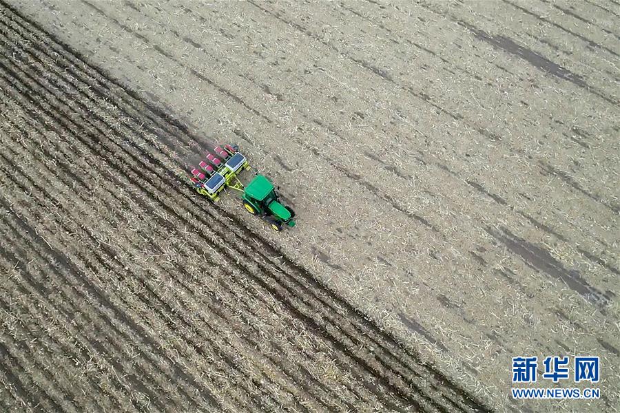 （新華全媒頭條&middot;圖文互動）（11）為現(xiàn)代農(nóng)業(yè)探新路&mdash;&mdash;來自吉林梨樹的田野報告