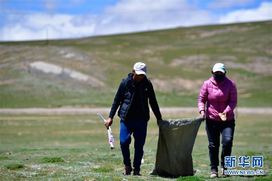 （新華全媒頭條&middot;走向我們的小康生活&middot;圖文互動）（5）綠色繪就三江源&mdash;&mdash;來自青海脫貧奔小康一線的蹲點報告