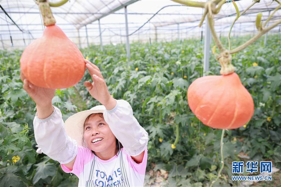 （走向我們的小康生活&middot;決戰決勝脫貧攻堅&middot;圖文互動）（2）麻山突圍記