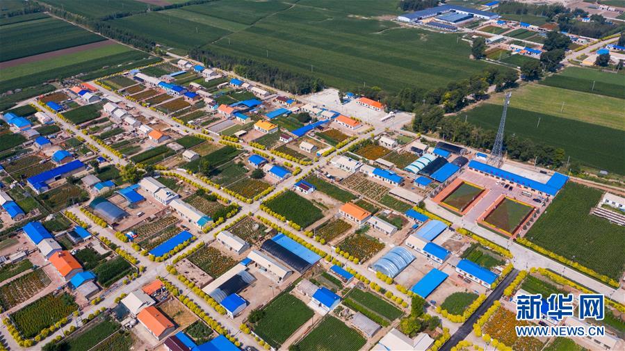 (新華全媒頭條·走向我們的小康生活·圖文互動)(1)黑土地上是我家——在吉林,一瞥中國東北鄉(xiāng)村美麗未來