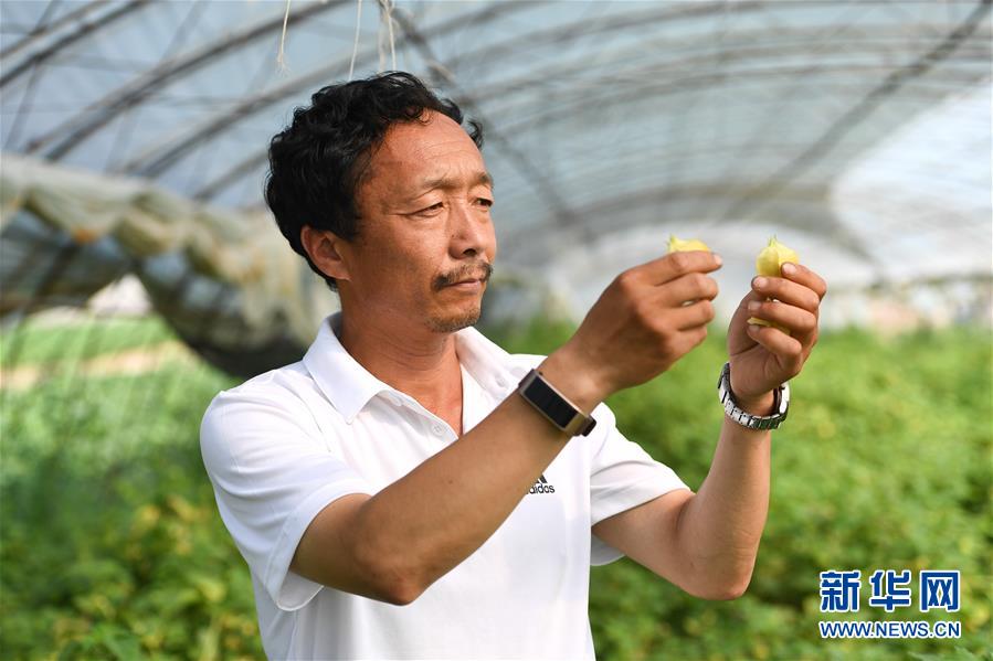 (新華全媒頭條·走向我們的小康生活·圖文互動)(7)黑土地上是我家——在吉林,一瞥中國東北鄉(xiāng)村美麗未來